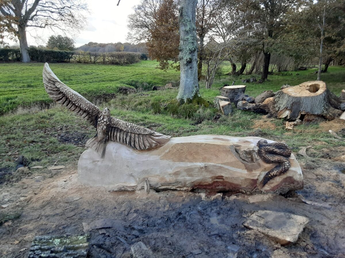 sussexchainsaw