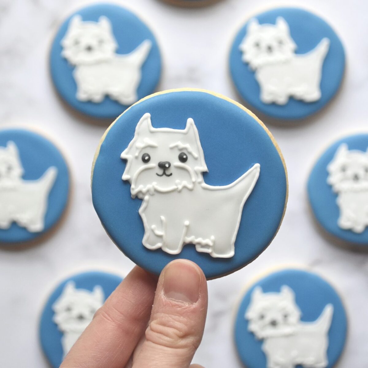 Claire's Cookies